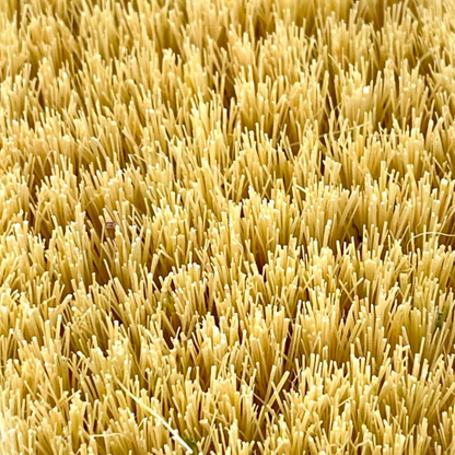 Oumeya-Brosse exfoliante